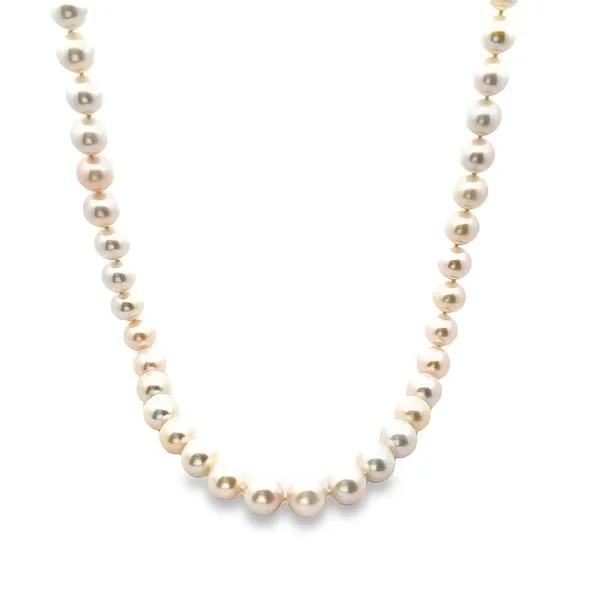 14KY Freshwater Pearl Strand, 18'' 325-00205 Monarch Jewelry Winter Park, FL