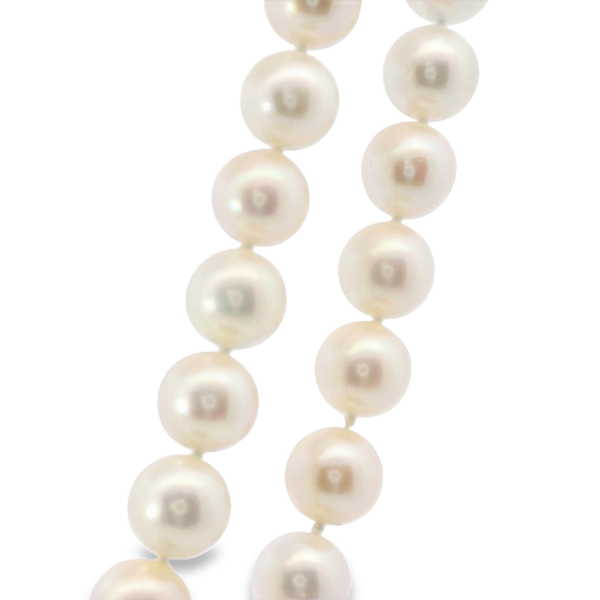 White 14K Retro Diamond and Pearl Graduated Strand Necklace Image 2 Monarch Jewelry Winter Park, FL