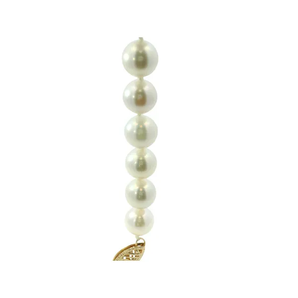 Yellow Gold Single Strand Akoya Pearl Necklace Image 2 Monarch Jewelry Winter Park, FL
