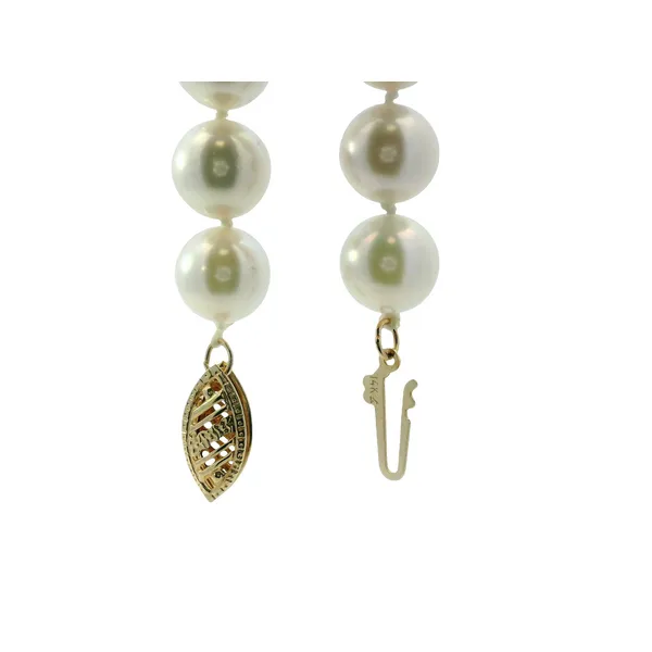 Yellow Gold Single Strand Akoya Pearl Necklace Image 3 Monarch Jewelry Winter Park, FL