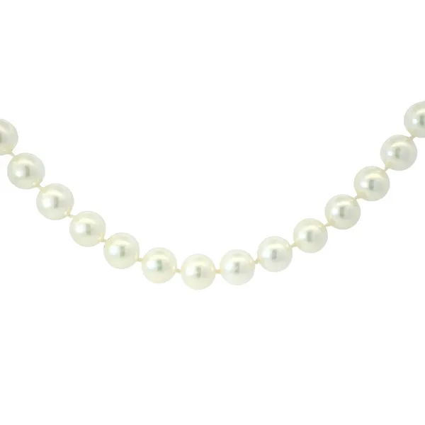 Yellow Gold Single Strand Akoya Pearl Necklace Monarch Jewelry Winter Park, FL
