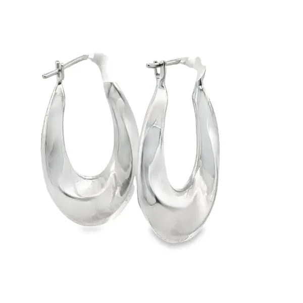 Precious Metal Earrings 425-01227 Image 2 Monarch Jewelry Winter Park, FL