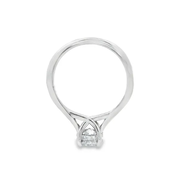 14K White Gold Lab Grown Diamond Solitaire Engagement Ring Image 4 Monarch Jewelry Winter Park, FL