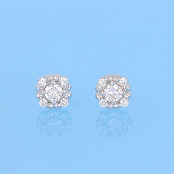 Lighthouse Lab Grown Diamond Earring 860-00003 Monarch Jewelry Winter Park, FL