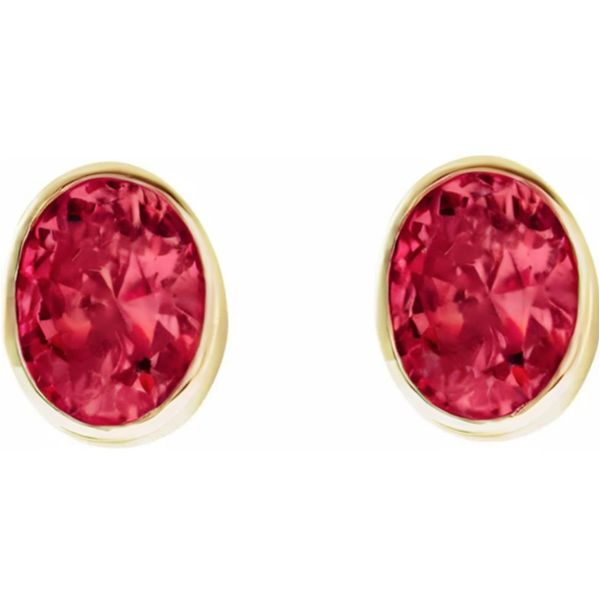 10K Yellow Gold Bezel Birthstone Earrings Moore Jewelers Laredo, TX