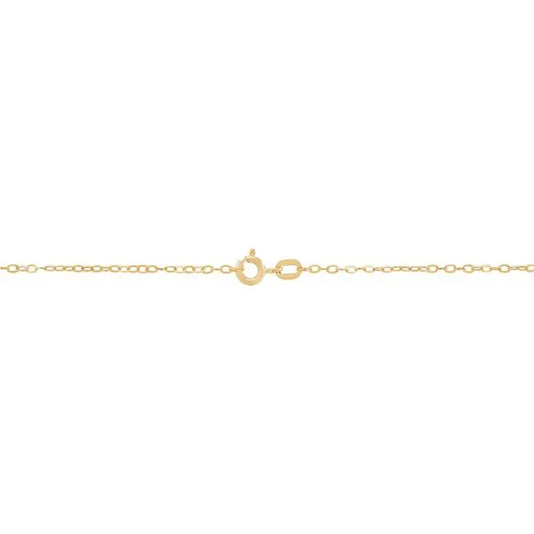 14K Yellow Gold Flat Rolo Chain, 18in. Image 2 Moore Jewelers Laredo, TX