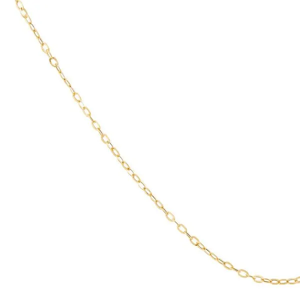 14K Yellow Gold Flat Rolo Chain, 18in. Image 3 Moore Jewelers Laredo, TX
