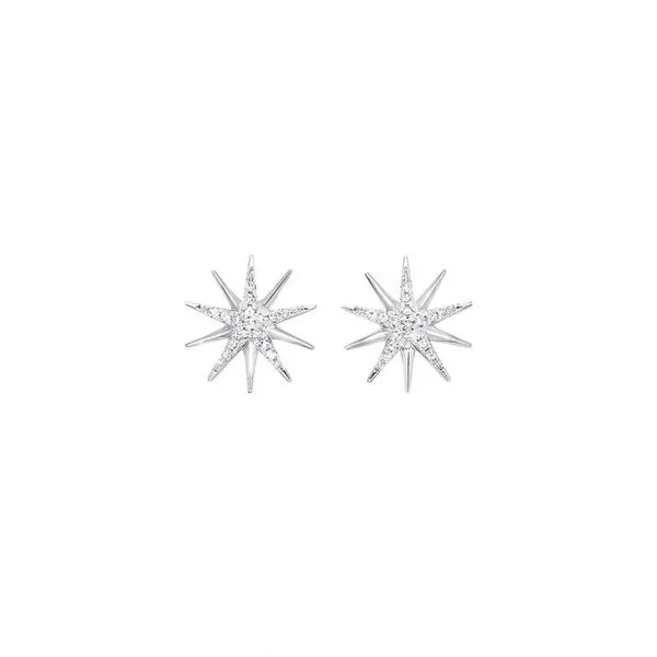 Silver Earrings  Moore Jewelers Laredo, TX