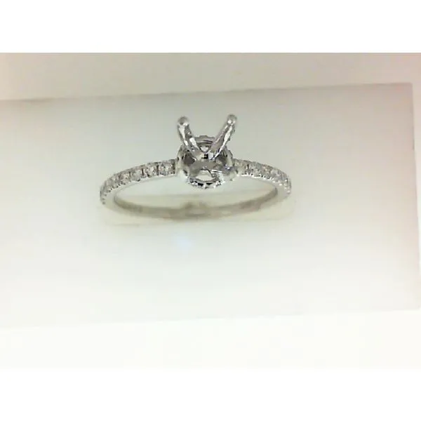 14Kt White Gold Fashion Ring Morgan's Jewelers Winona, MN