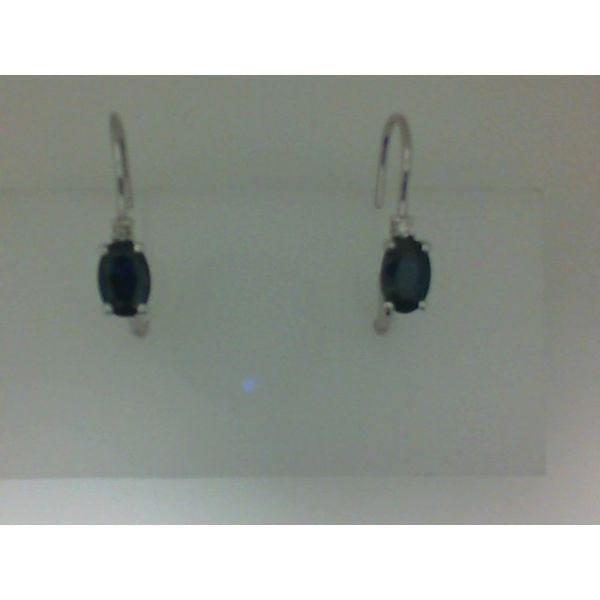 Earrings Morgan's Jewelers Winona, MN