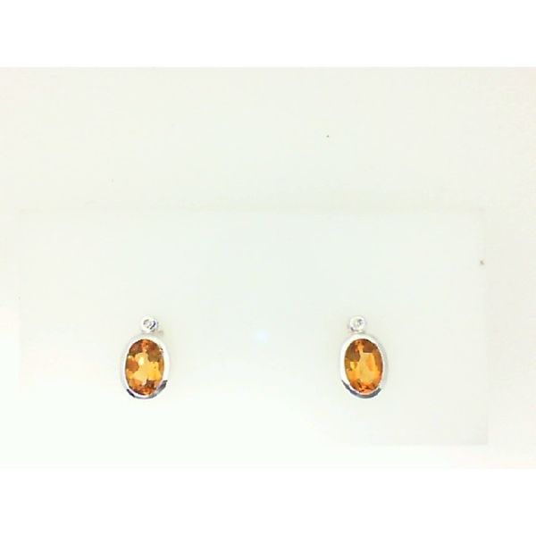 Earrings Morgan's Jewelers Winona, MN