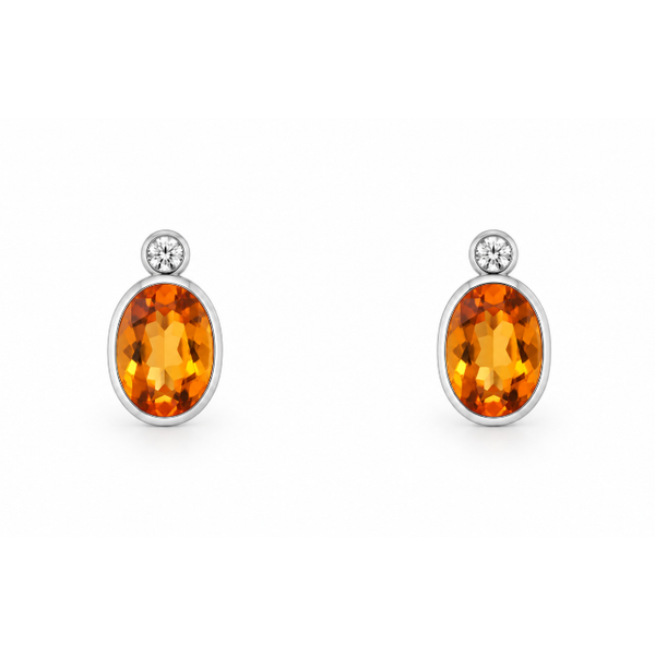 Earrings Morgan's Jewelers Winona, MN