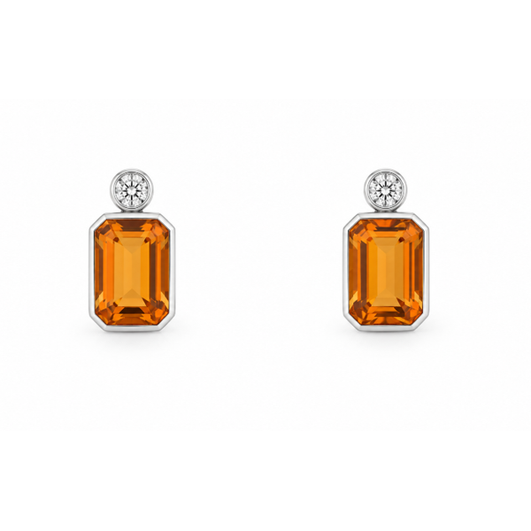 Earrings Morgan's Jewelers Winona, MN