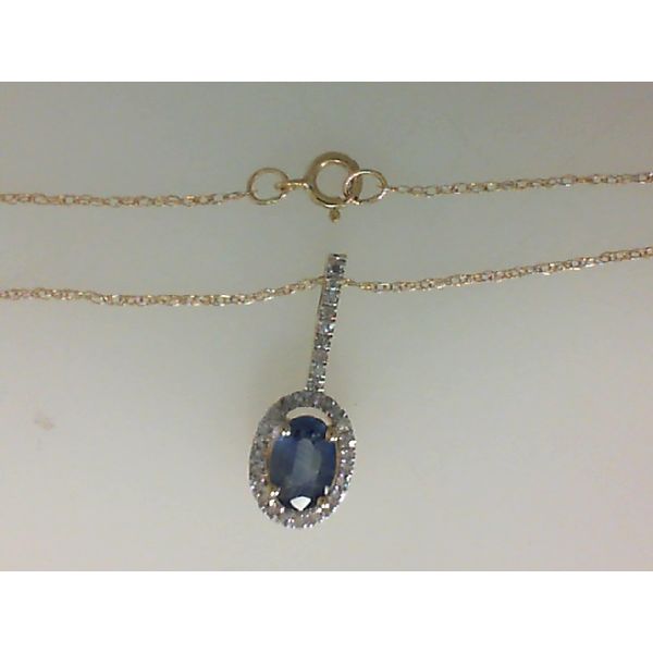 Birthstone Pendant in 10Kt Yellow Gold Morgan's Jewelers Winona, MN
