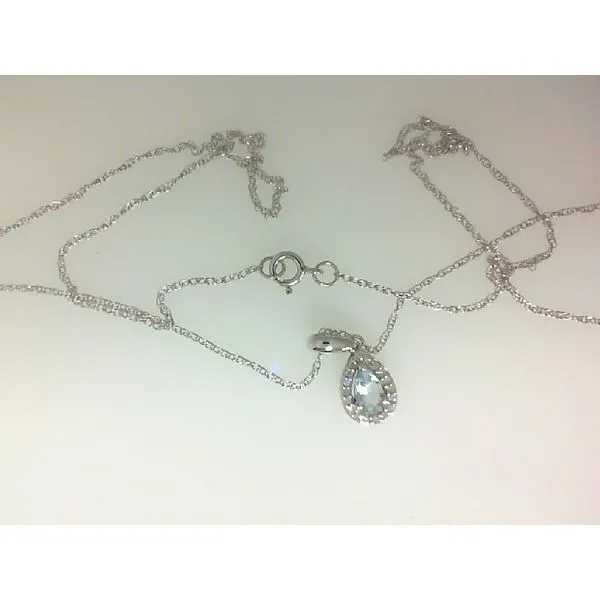 10K White Gold Birthstone Pendant Morgan's Jewelers Winona, MN
