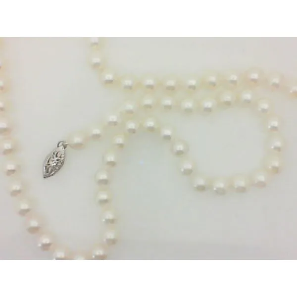 Saltwater Cultured Pearl Strand with 14Kt White Gold Clasp Morgan's Jewelers Winona, MN