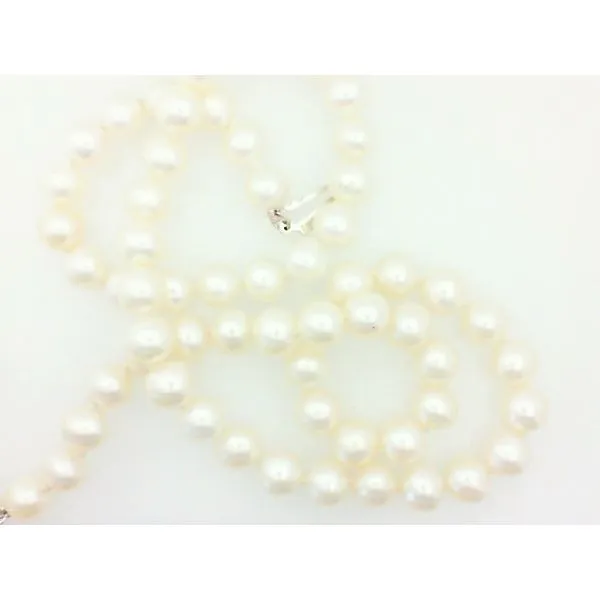 Fresh Water Pearls Strand with 14K White Gold Clasp Morgan's Jewelers Winona, MN