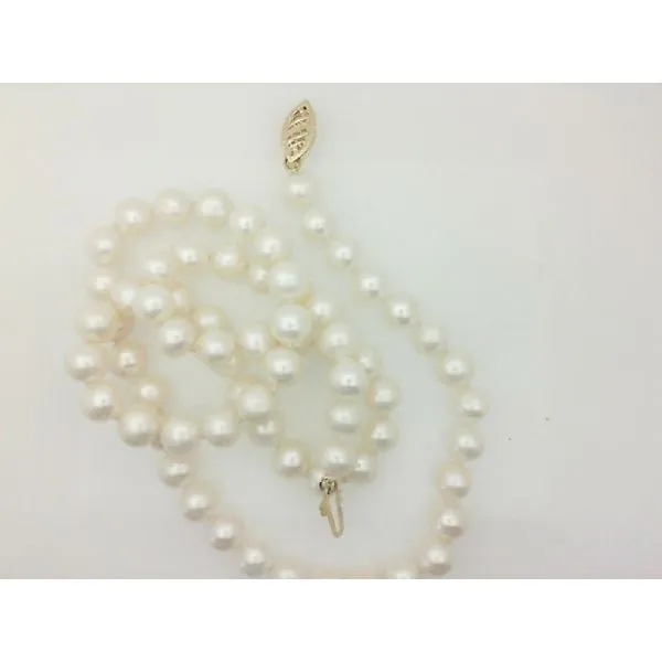 FWP 6-6.5mm 18'' 14K Gold Clasp Strand Morgan's Jewelers Winona, MN