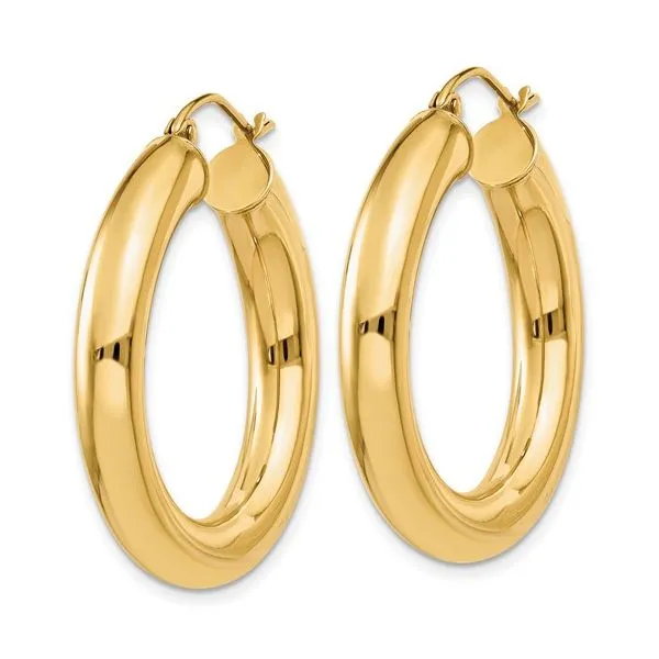 Earrings Morgan's Jewelers Winona, MN