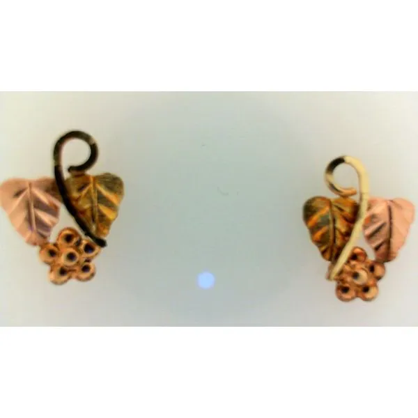 Earrings Morgan's Jewelers Winona, MN