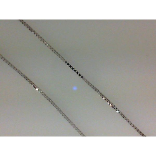 White Gold Box Chain Morgan's Jewelers Winona, MN