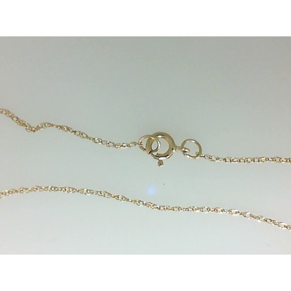 14K Yellow Gold Chain with Spring Ring Clasp Morgan's Jewelers Winona, MN