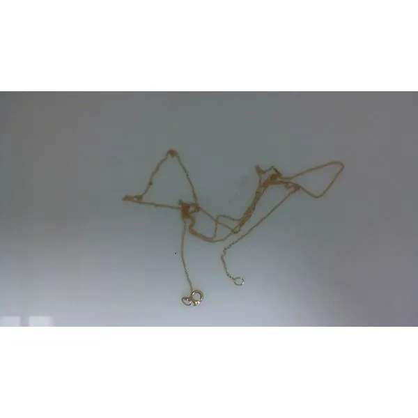 10K Yellow Gold Chain Necklace Morgan's Jewelers Winona, MN