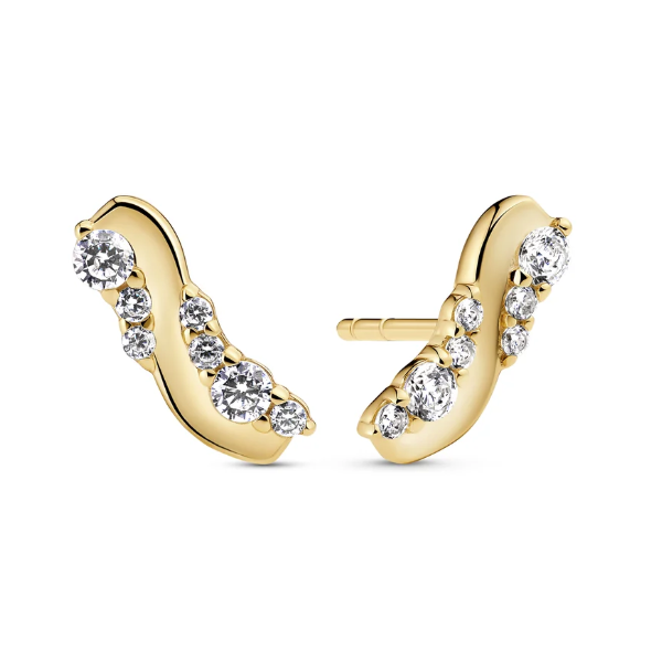 Earrings Morgan's Jewelers Winona, MN