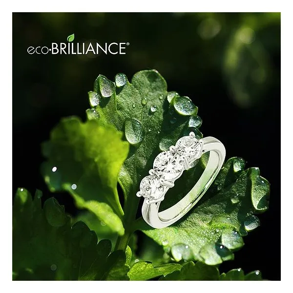White 14Kt Anniversary Ring Image 2 Morin Jewelers Southbridge, MA