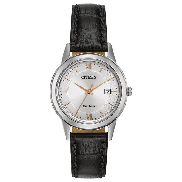 CITIZEN Eco-Drive Ladies Silver Watch with Black Band Morin Jewelers Southbridge, MA