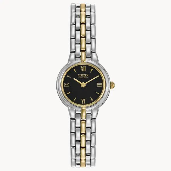 CITIZEN Eco-Drive Ladies Two-Tone Stainless Steel Dress Watch Morin Jewelers Southbridge, MA