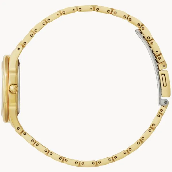 CITIZEN Eco-Drive Ladies Yellow Base Metal Dress Watch Image 3 Morin Jewelers Southbridge, MA
