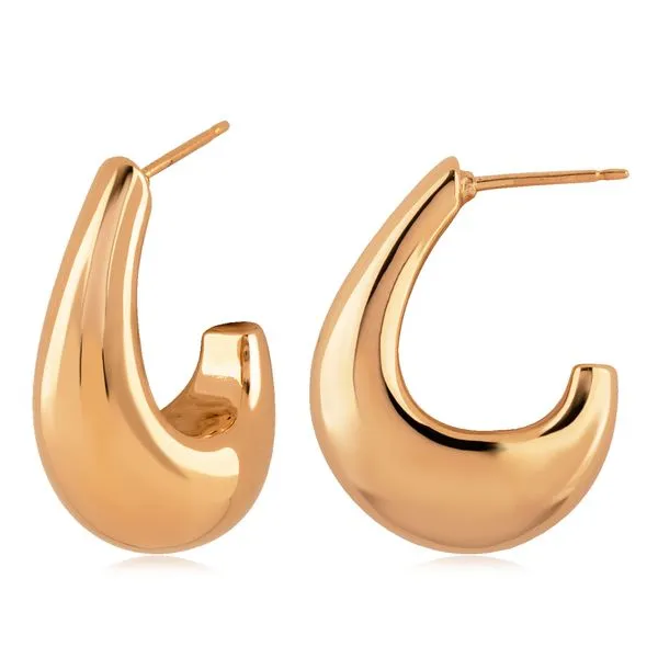 Gold Earrings Morris Jewelry Bowling Green, KY