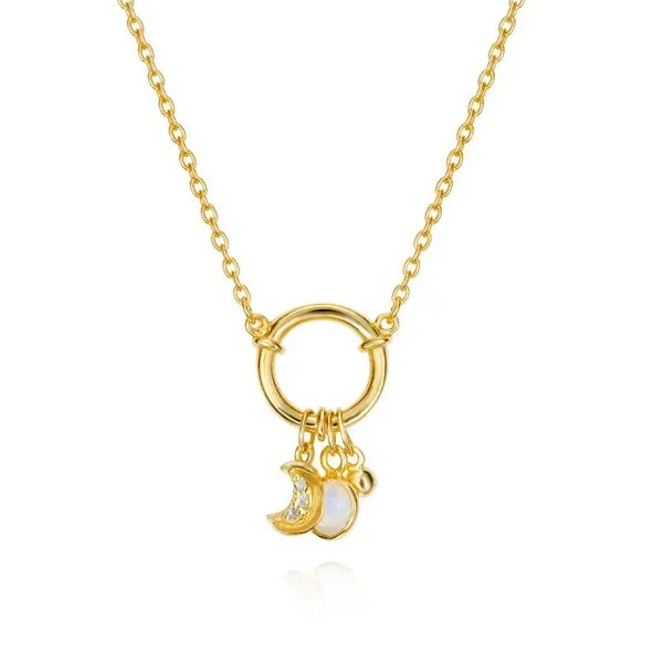Sterling/Gold Necklace Morrison Smith Jewelers Charlotte, NC