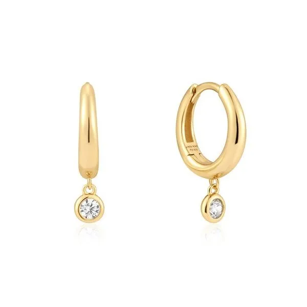 Sterling/Gold Earrings Morrison Smith Jewelers Charlotte, NC