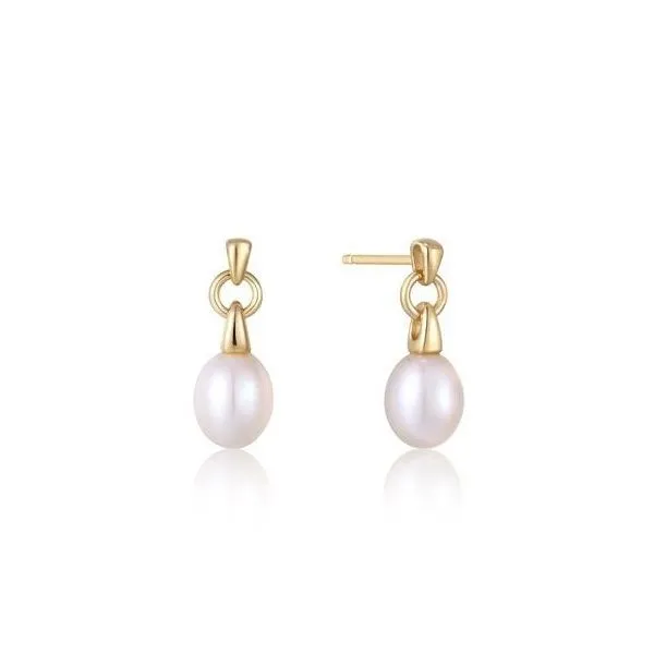Sterling/Gold Earrings Morrison Smith Jewelers Charlotte, NC
