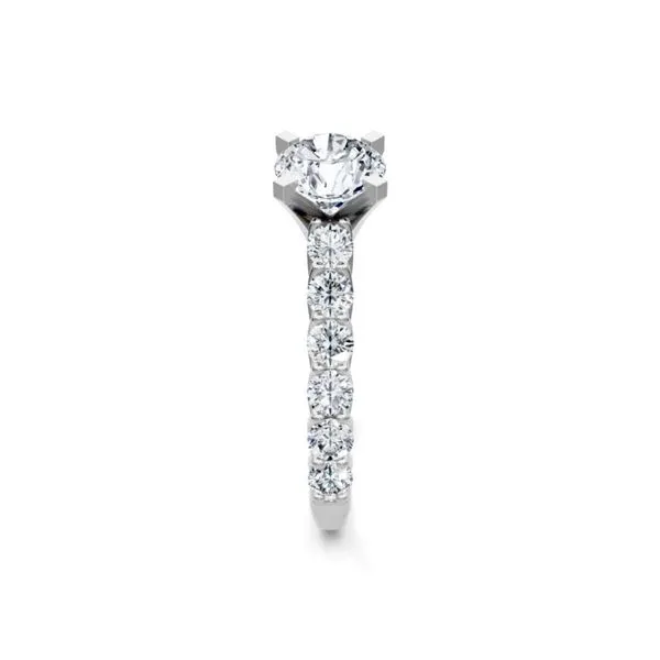 Round Diamond Engagement Ring 14K White Gold Shared Prong Band Image 2 Javeri Jewelers Inc Frisco, TX