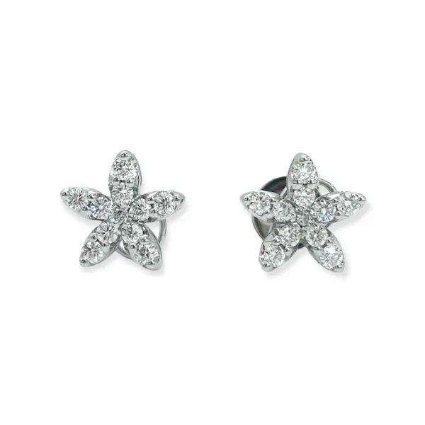 Diamond Earrings Javeri Jewelers Inc Frisco, TX