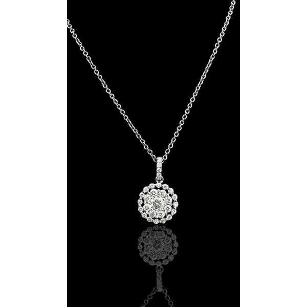 Double halo diamond cluster necklace.