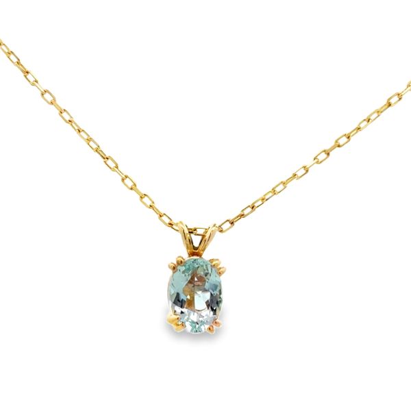 Gemstone Necklace Nelson Jewelry, Ltd. Spencer, IA