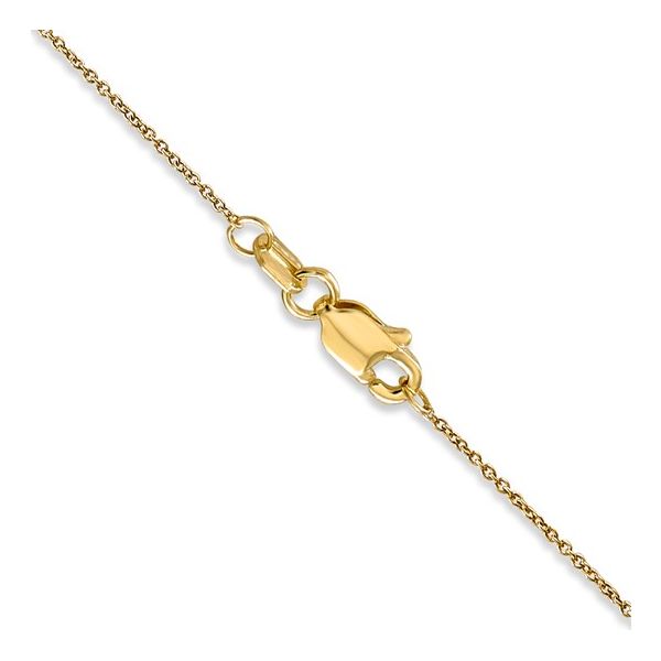 Precious Metal Chain Nelson Jewelry, Ltd. Spencer, IA