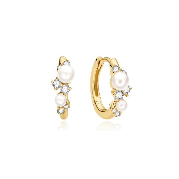 Silver Earrings Nelson Jewelry, Ltd. Spencer, IA