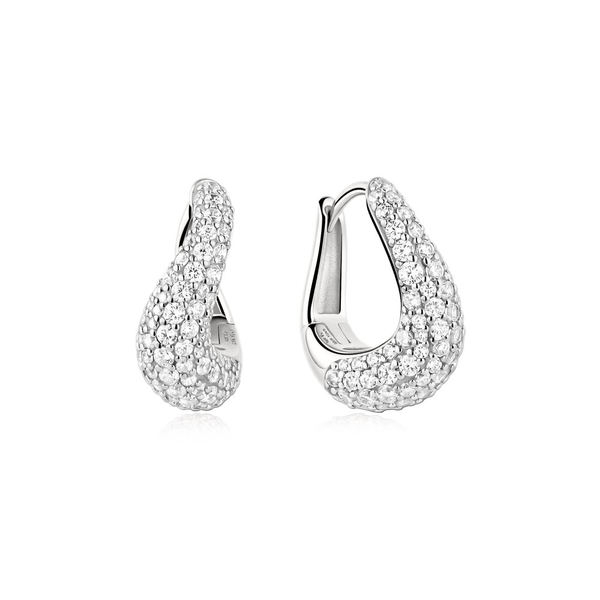 Silver Earrings Nelson Jewelry, Ltd. Spencer, IA