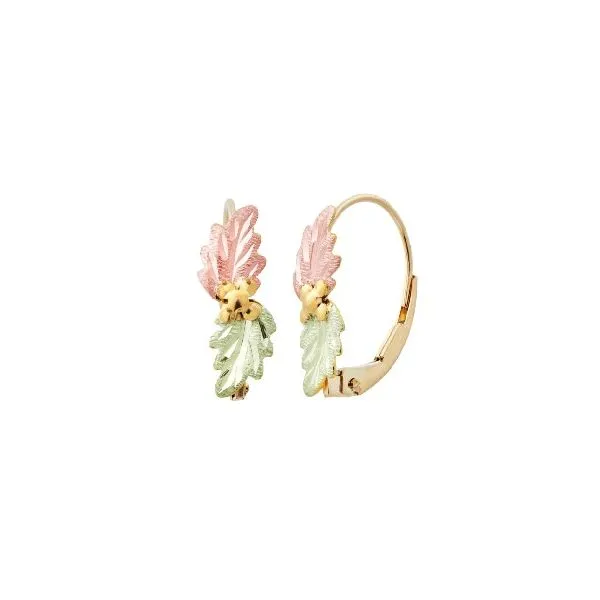 Gold Earrings (No Stones) Northwood Jewelers Northwood, OH