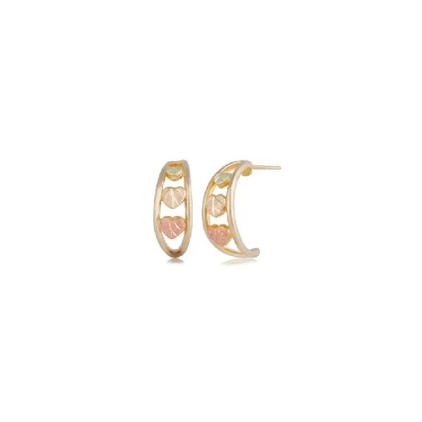 Gold Earrings (No Stones) Northwood Jewelers Northwood, OH