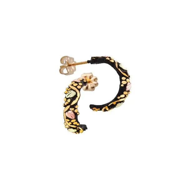 Gold Earrings (No Stones) Northwood Jewelers Northwood, OH