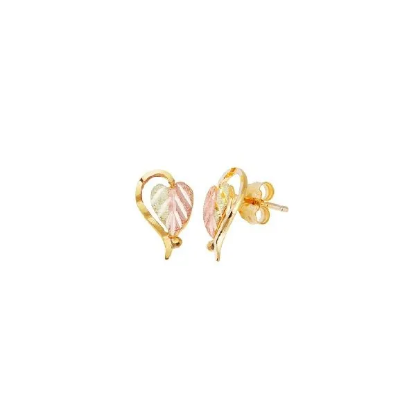 Gold Earrings (No Stones) Northwood Jewelers Northwood, OH