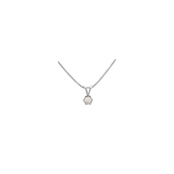 Silver Necklace Northwood Jewelers Northwood, OH