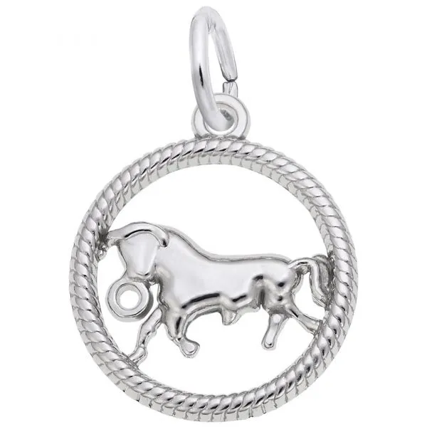 Silver Charms or Pendants similar item image