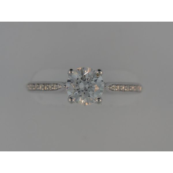 Lady's 14K White Gold Ring Mounting W/28 Diamonds Orin Jewelers Northville, MI